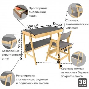 Комплект растущий стол и стул с чехлом 38 попугаев «Вуди» (Серый, Береза, Серый) в Верхней Пышме - verhnyaya-pyshma.mebel24.online | фото