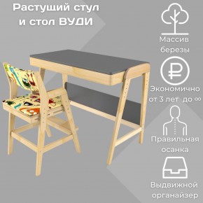 Комплект растущий стол и стул с чехлом 38 попугаев «Вуди» (Серый, Без покрытия, Монстры) в Верхней Пышме - verhnyaya-pyshma.mebel24.online | фото