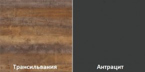 Кухонный гарнитур угловой Трансильвания 2400x1600 мм (Стол. 38 мм) Антрацит/Трансильвания в Верхней Пышме - verhnyaya-pyshma.mebel24.online | фото 3