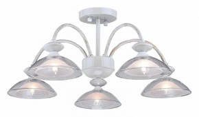 Люстра на штанге Arti Lampadari Noventa Noventa E 1.1.5 W в Верхней Пышме - verhnyaya-pyshma.mebel24.online | фото