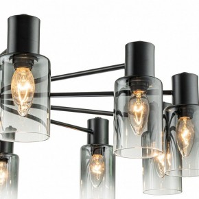 Люстра на штанге Escada Diversity 2120/12P Black в Верхней Пышме - verhnyaya-pyshma.mebel24.online | фото 6