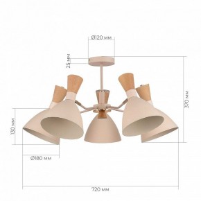 Люстра на штанге EVOLUCE VISTA SLE1256-502-05 в Верхней Пышме - verhnyaya-pyshma.mebel24.online | фото 8