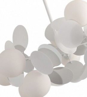Люстра на штанге Kink Light Матиас 074160-10,01(01) в Верхней Пышме - verhnyaya-pyshma.mebel24.online | фото 2