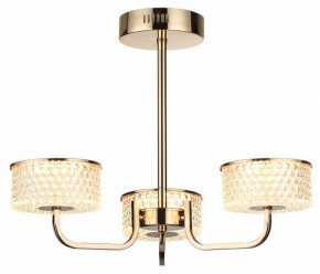 Люстра на штанге Lumion Venice 6579/40CL в Верхней Пышме - verhnyaya-pyshma.mebel24.online | фото 5