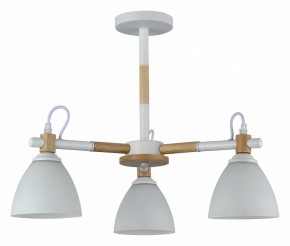 Люстра на штанге Rivoli Louise Б0060982 в Верхней Пышме - verhnyaya-pyshma.mebel24.online | фото
