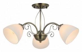 Люстра на штанге Rivoli Sue Б0060985 в Верхней Пышме - verhnyaya-pyshma.mebel24.online | фото 2