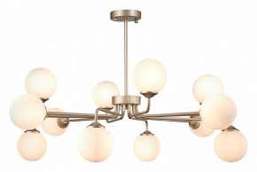 Люстра на штанге ST-Luce Redjino SLE106203-12 в Верхней Пышме - verhnyaya-pyshma.mebel24.online | фото 2