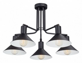 Люстра на штанге Vitaluce V4809 V4809-1/5PL в Верхней Пышме - verhnyaya-pyshma.mebel24.online | фото