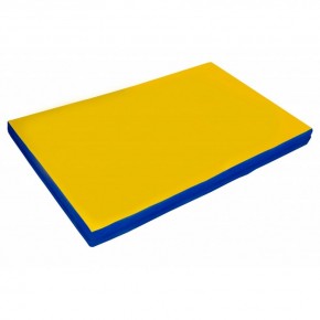 Мат гимнастический 2х1х0,05м цв. синий-желтый в Верхней Пышме - verhnyaya-pyshma.mebel24.online | фото