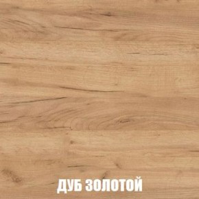 МСП-1 Шкаф 2-х створчатый (Дуб Золотой/Камень темный) в Верхней Пышме - verhnyaya-pyshma.mebel24.online | фото 4