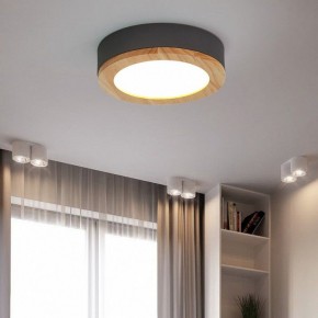 Накладной светильник Imperiumloft Wudda Серый WUDDA01 в Верхней Пышме - verhnyaya-pyshma.mebel24.online | фото 3