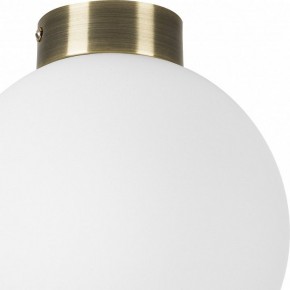 Накладной светильник Lightstar Globo 812021 в Верхней Пышме - verhnyaya-pyshma.mebel24.online | фото 3