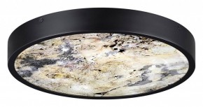 Накладной светильник Odeon Light Bergi 5064/30L в Верхней Пышме - verhnyaya-pyshma.mebel24.online | фото 4