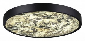 Накладной светильник Odeon Light Bergi 5064/40L в Верхней Пышме - verhnyaya-pyshma.mebel24.online | фото 3