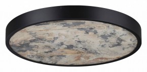 Накладной светильник Odeon Light Bergi 5064/40L в Верхней Пышме - verhnyaya-pyshma.mebel24.online | фото 6