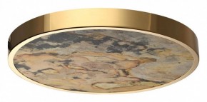 Накладной светильник Odeon Light Bergi 5079/40L в Верхней Пышме - verhnyaya-pyshma.mebel24.online | фото 4