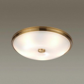 Накладной светильник Odeon Light Pelow 4956/5 в Верхней Пышме - verhnyaya-pyshma.mebel24.online | фото 2