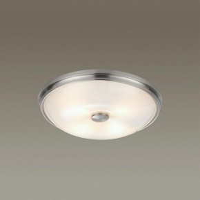 Накладной светильник Odeon Light Pelow 4957/4 в Верхней Пышме - verhnyaya-pyshma.mebel24.online | фото 2