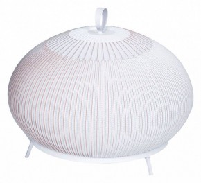 Настольная лампа декоративная Divinare Firefly 1808/33 TL-50 в Верхней Пышме - verhnyaya-pyshma.mebel24.online | фото