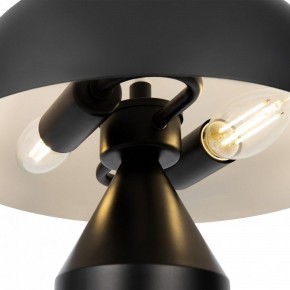 Настольная лампа декоративная Freya Eleon FR5218TL-02B1 в Верхней Пышме - verhnyaya-pyshma.mebel24.online | фото 5