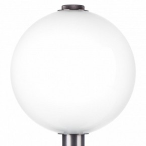 Настольная лампа декоративная Lightstar Colore 805916 в Верхней Пышме - verhnyaya-pyshma.mebel24.online | фото 6