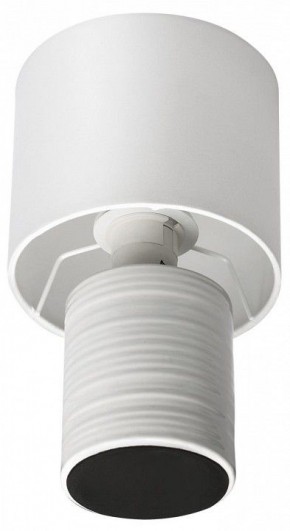 Настольная лампа декоративная Lumion Tuala 8144/1Т в Верхней Пышме - verhnyaya-pyshma.mebel24.online | фото 3