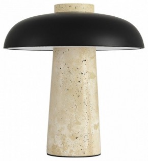 Настольная лампа декоративная ST-Luce Earthy SL1194.424.01 в Верхней Пышме - verhnyaya-pyshma.mebel24.online | фото
