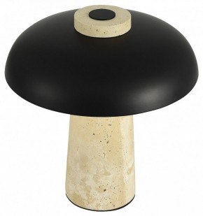 Настольная лампа декоративная ST-Luce Earthy SL1194.424.01 в Верхней Пышме - verhnyaya-pyshma.mebel24.online | фото 5