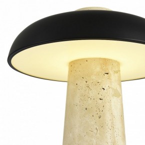Настольная лампа декоративная ST-Luce Earthy SL1194.424.01 в Верхней Пышме - verhnyaya-pyshma.mebel24.online | фото 6