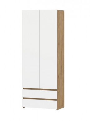 НЕКСТ 1 Шкаф двухстворчатый с ящиками в Верхней Пышме - verhnyaya-pyshma.mebel24.online | фото