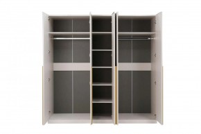 НИКОЛЬ 25 Шкаф 5-ти створчатый в Верхней Пышме - verhnyaya-pyshma.mebel24.online | фото 3