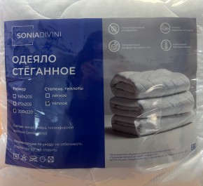 Одеяло Стеганное (теплое) 1400 в Верхней Пышме - verhnyaya-pyshma.mebel24.online | фото