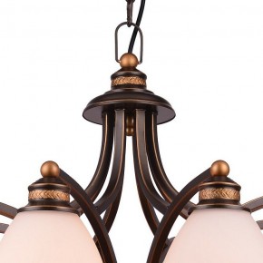 Подвесная люстра Arte Lamp Bonito A9518LM-8BA в Верхней Пышме - verhnyaya-pyshma.mebel24.online | фото