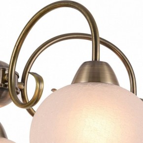 Подвесная люстра Arte Lamp Margo A9317LM-5AB в Верхней Пышме - verhnyaya-pyshma.mebel24.online | фото 3