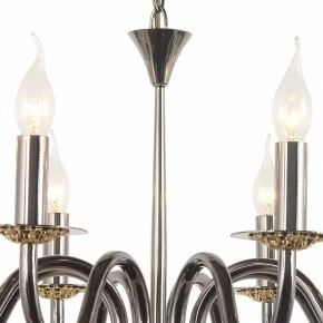 Подвесная люстра Arti Lampadari Pontone Pontone E 1.1.8 PB в Верхней Пышме - verhnyaya-pyshma.mebel24.online | фото 3