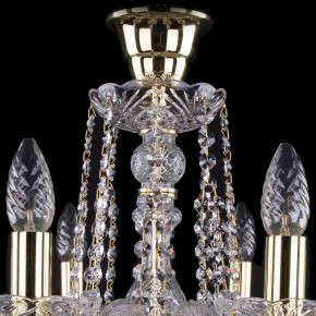 Подвесная люстра Bohemia Ivele Crystal 1402 1402/8/195/G/tube в Верхней Пышме - verhnyaya-pyshma.mebel24.online | фото 4