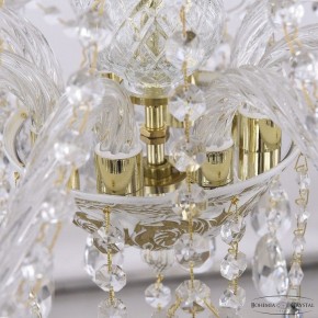 Подвесная люстра Bohemia Ivele Crystal AL1613 AL16313/8/240 WMG в Верхней Пышме - verhnyaya-pyshma.mebel24.online | фото 5