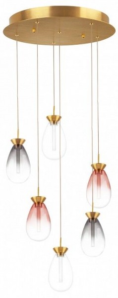 Подвесная люстра Lightstar Colore 805169 в Верхней Пышме - verhnyaya-pyshma.mebel24.online | фото