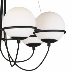 Подвесная люстра Lightstar Globo 803267 в Верхней Пышме - verhnyaya-pyshma.mebel24.online | фото 5
