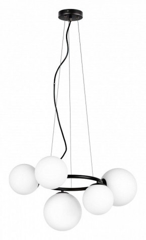 Подвесная люстра Lightstar Globo 815057 в Верхней Пышме - verhnyaya-pyshma.mebel24.online | фото 2