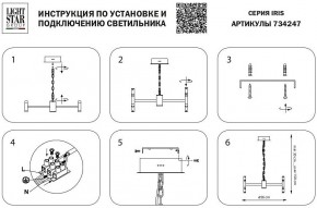 Подвесная люстра Lightstar Iris 734247 в Верхней Пышме - verhnyaya-pyshma.mebel24.online | фото 4