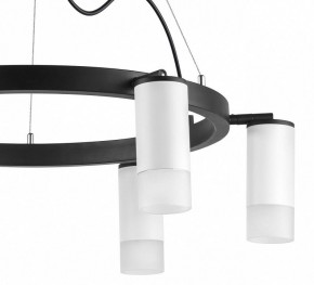 Подвесная люстра Lightstar Rullo LR0163661 в Верхней Пышме - verhnyaya-pyshma.mebel24.online | фото 5