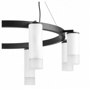 Подвесная люстра Lightstar Rullo LR0188643641 в Верхней Пышме - verhnyaya-pyshma.mebel24.online | фото 5