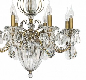 Подвесная люстра Lightstar Schon 790111 в Верхней Пышме - verhnyaya-pyshma.mebel24.online | фото 8
