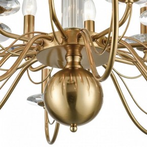 Подвесная люстра Lumion Incanto 8033/16 в Верхней Пышме - verhnyaya-pyshma.mebel24.online | фото 12