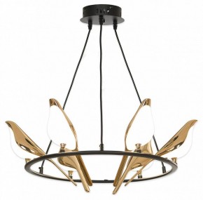 Подвесная люстра Lussole Jasper LSP-8641 в Верхней Пышме - verhnyaya-pyshma.mebel24.online | фото 4