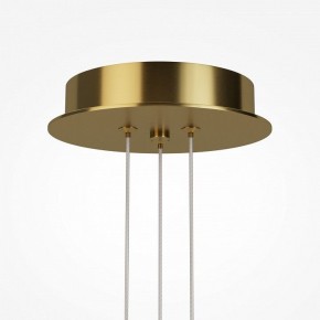 Подвесная люстра Maytoni Arana MOD401PL-L108BS3K в Верхней Пышме - verhnyaya-pyshma.mebel24.online | фото 7