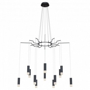 Подвесная люстра Maytoni Davida MOD035PL-12B в Верхней Пышме - verhnyaya-pyshma.mebel24.online | фото 2