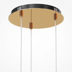 Подвесная люстра Maytoni Drop MOD273PL-L33G3K в Верхней Пышме - verhnyaya-pyshma.mebel24.online | фото 6