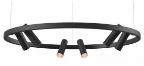 Подвесная люстра Maytoni Halo MOD102PL-L42BK в Верхней Пышме - verhnyaya-pyshma.mebel24.online | фото